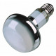 Basking Spot - Lamp 50W