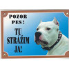 Výstražné tabuľky Tabuľka Tu strážim ja 14,5x21cm - Doga argentínska