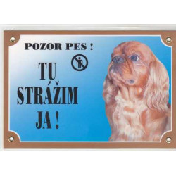 Tabuľka Tu strážim ja 14,5x21cm - Cavalier King Charles španiel